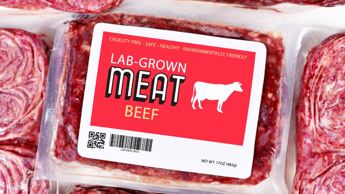 sulla carne coltivata e trasformazione